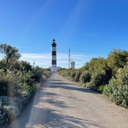 Avec Terrasse - 8 Personnes A Saint-georges-d'oleron - Api-1-52-554